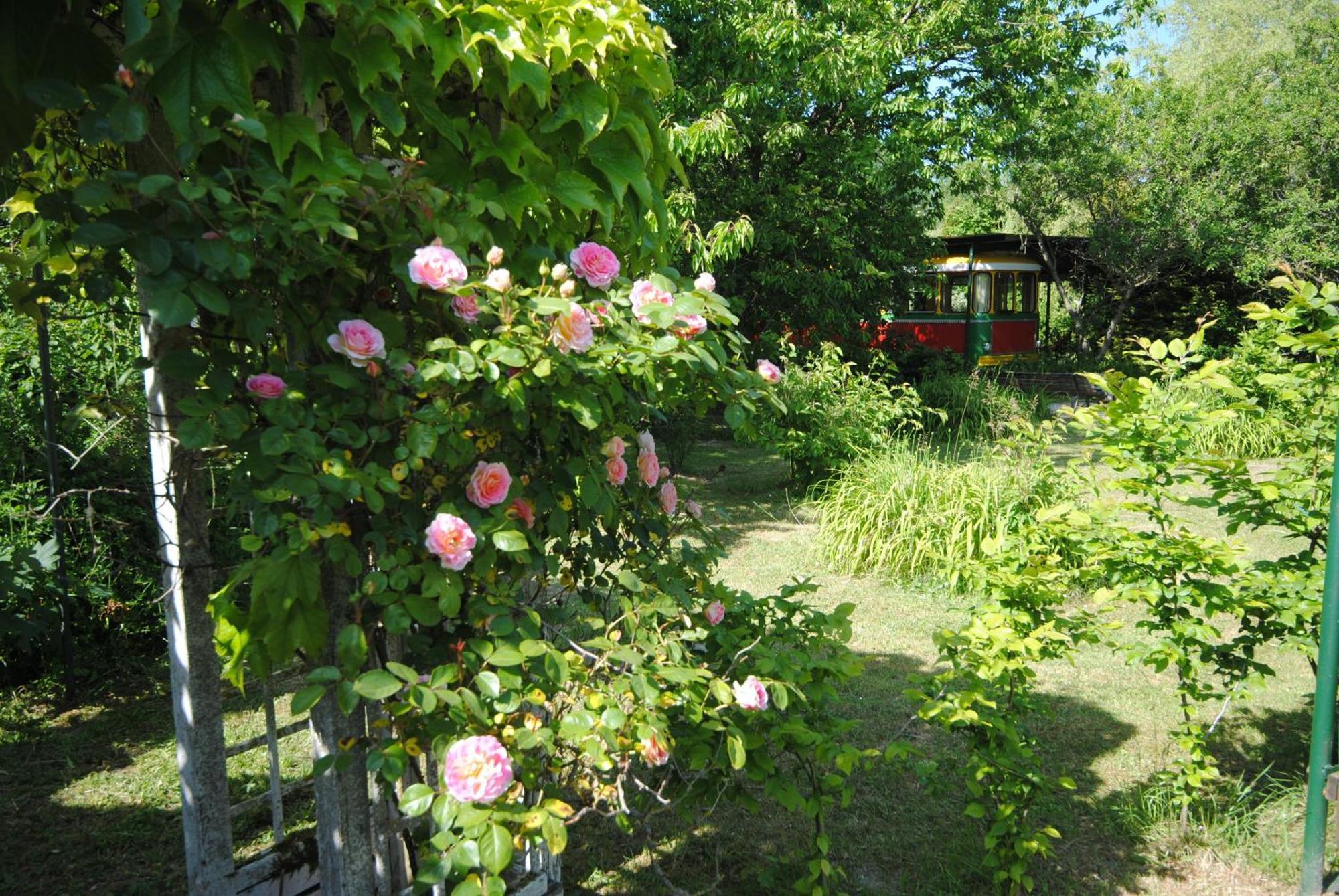 Les Insolites Du Grand Logis Marchais  Exterior foto